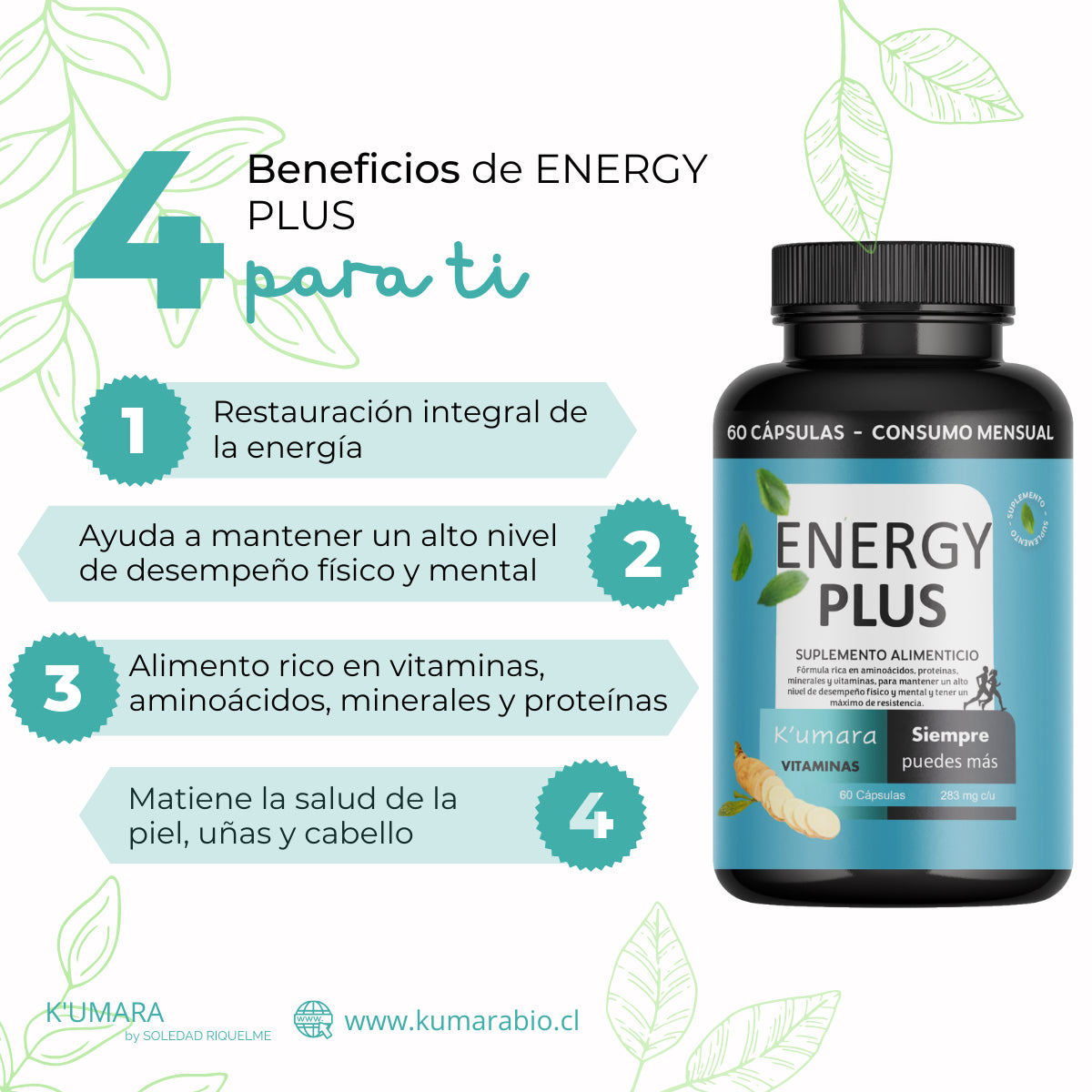 Energizante Natural Energy plus
