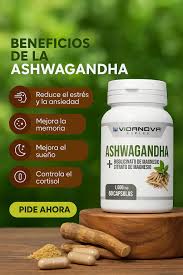 Ashwagandha + Magnesio 1000mg 60 CAPS